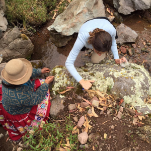 Sourcing native ingredients for Central restaurant