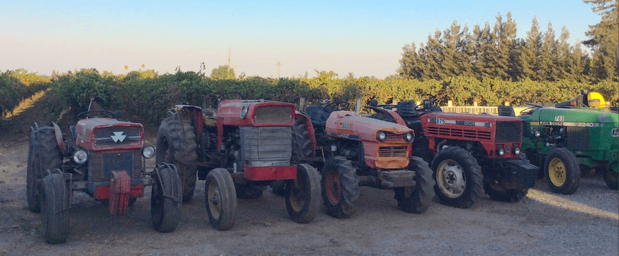 Lodi heritage in winemaking