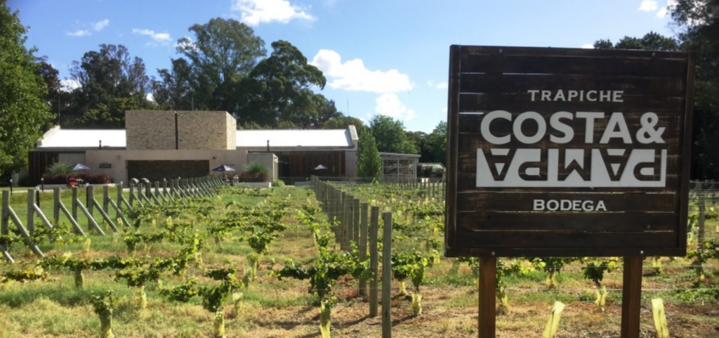 Costa y Pampa's winery near Buenos Aires