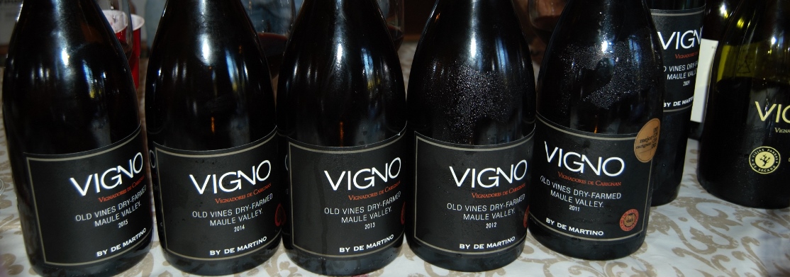 Vigno labelled bottles