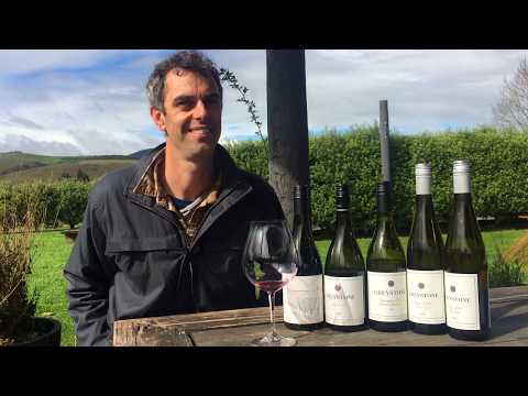 Vineyard fermentations with Dom Maxwell