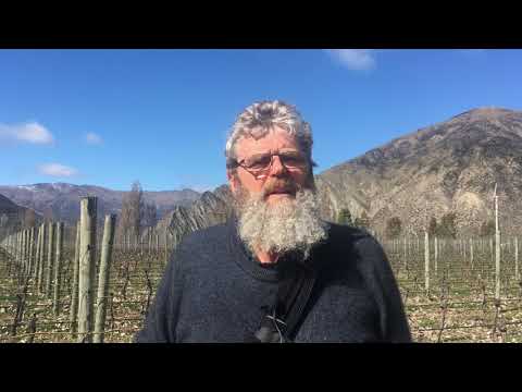 From then to now: Grant Taylor on the Central Otago wine pioneers