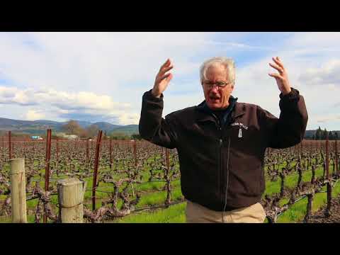 How was Napa Valley formed? Napa Geology with David Howell