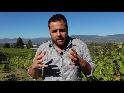 Kelowna and Okanagan Valley terroir: Winemaker interview with David Paterson, Tantalus