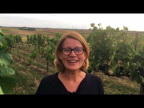 Blaufränkisch wine &amp; food pairing - with Austrian winemaker Dorli Muhr