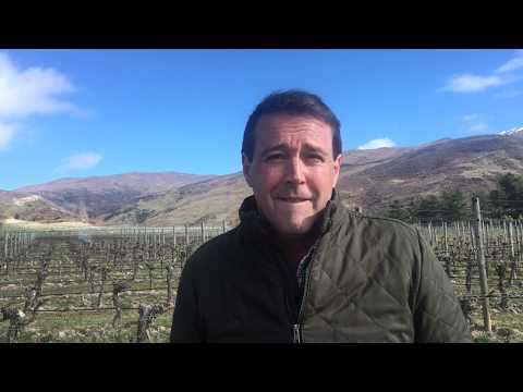 Central Otago wine region guide &amp; terroir focus with Blair Walter