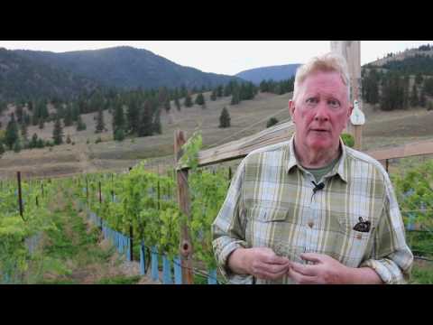 What makes Okanagan Valley terroir and wines unique: David Scholefield interview, Okanagan Crush Pad