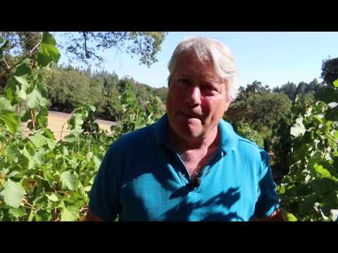 Napa Valley mountain AVAs with winemaker Bob Foley