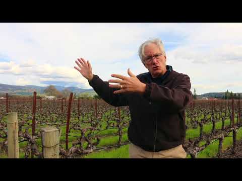 What is Napa soil? Geologist David Howell on the terroir of Napa