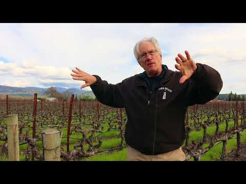 What makes Napa valley unique? Geologist David Howell interview