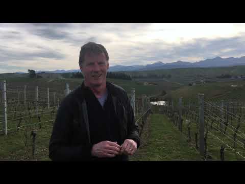 Marlborough wine regions: Awatere valley, Wairau valley and southern valleys