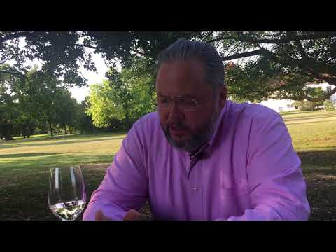 Grüner Veltliner wine guide: winemaker interview with Bernhard Ott