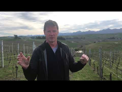 Marlborough Pinot Noir &amp; the clay hills of the Southern Valleys: Clive Jones, Nautilus