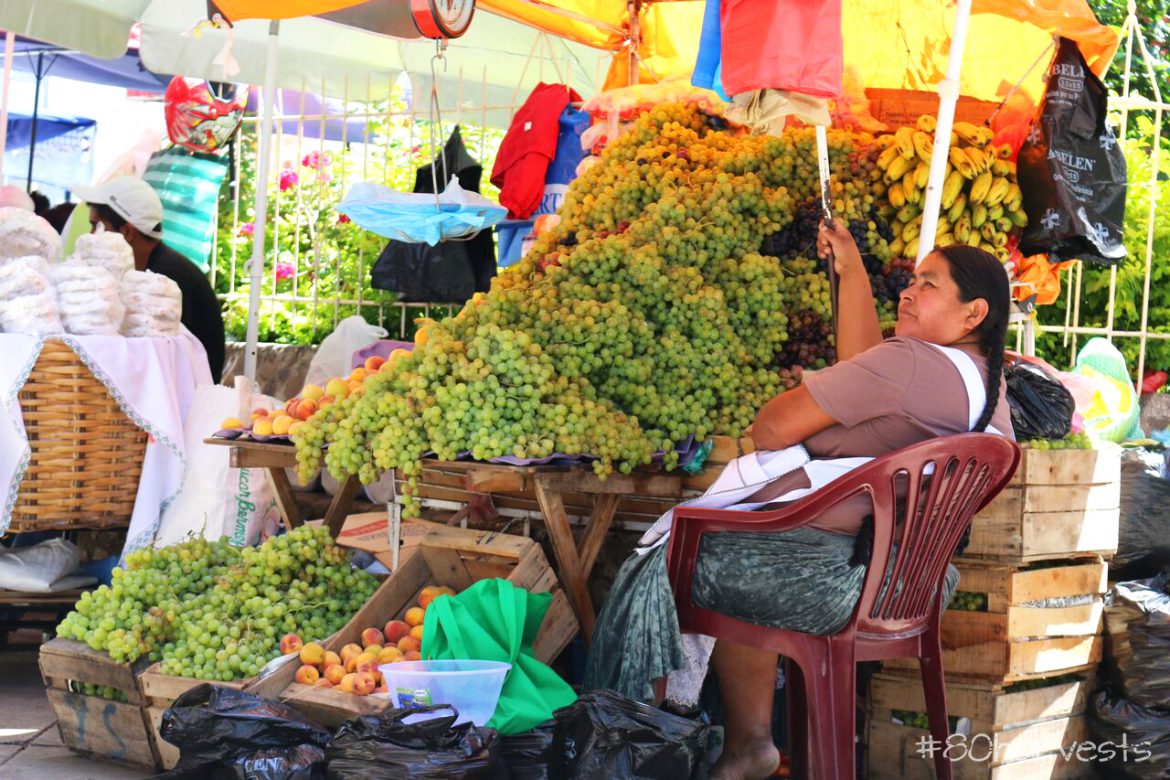 Bolivian wine in photos - Around the World in 80 Harvests - Bolivia ...