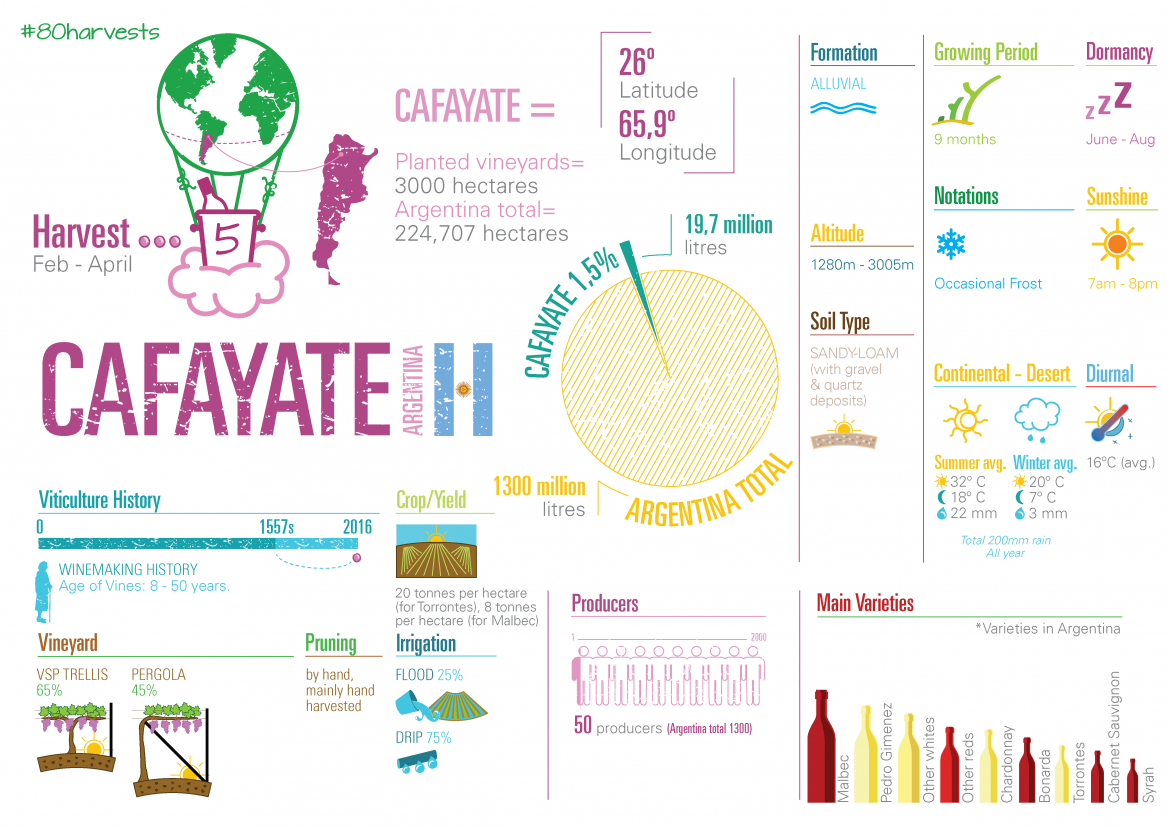 A guide to Cafayate, Argentina