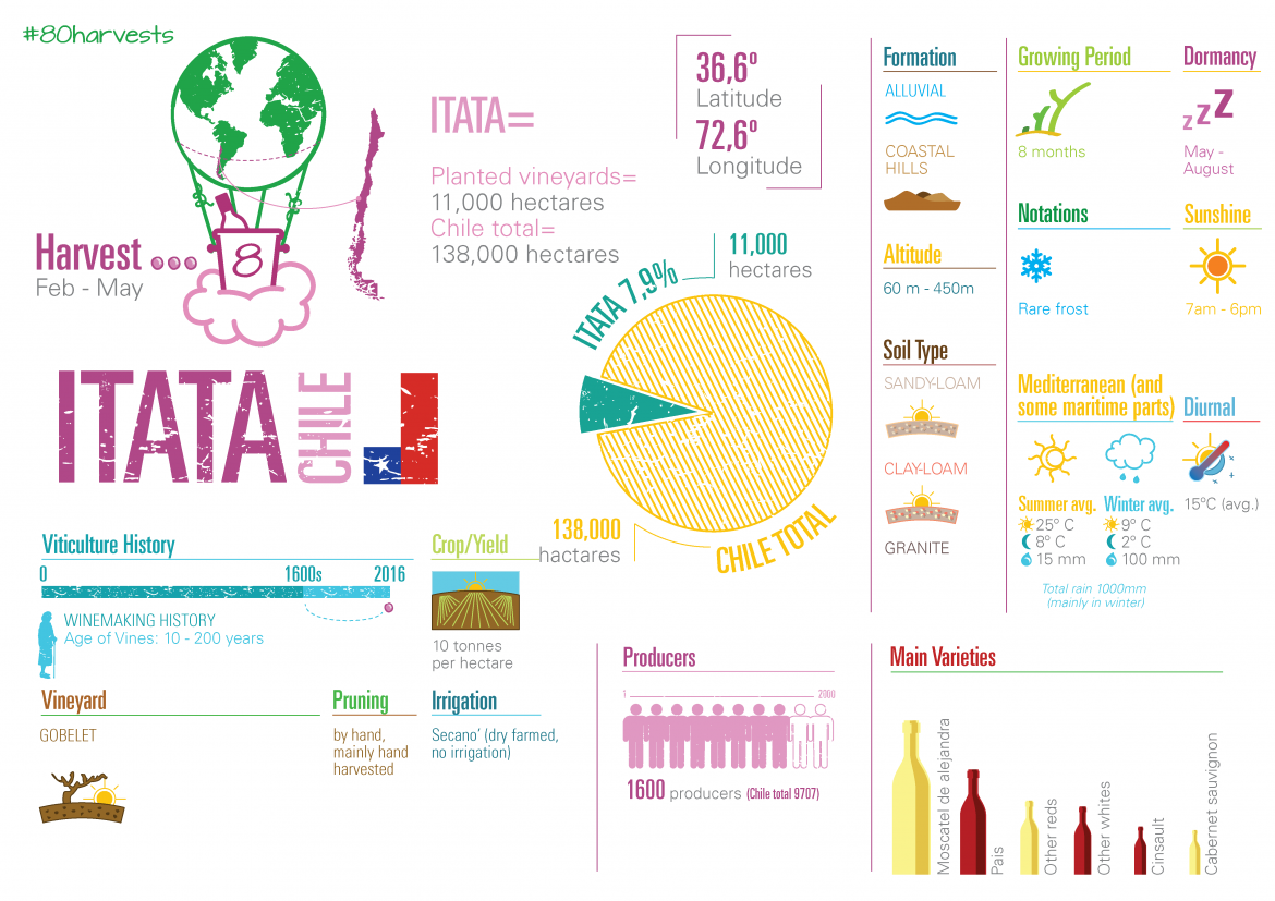 Itata Chile infographic and information