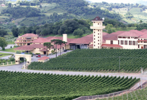 Miolo winery