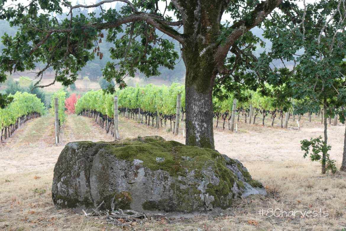 Missoula Floods and soil types in Oregon and Willamette
