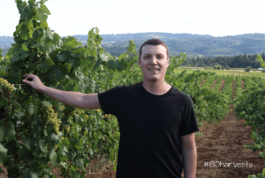 Ben Casteel Bethel Heights winemaker vintage harvest interview 2016