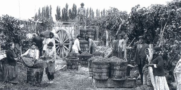 historical-photo-of-mendoza, Uco Valley Guide