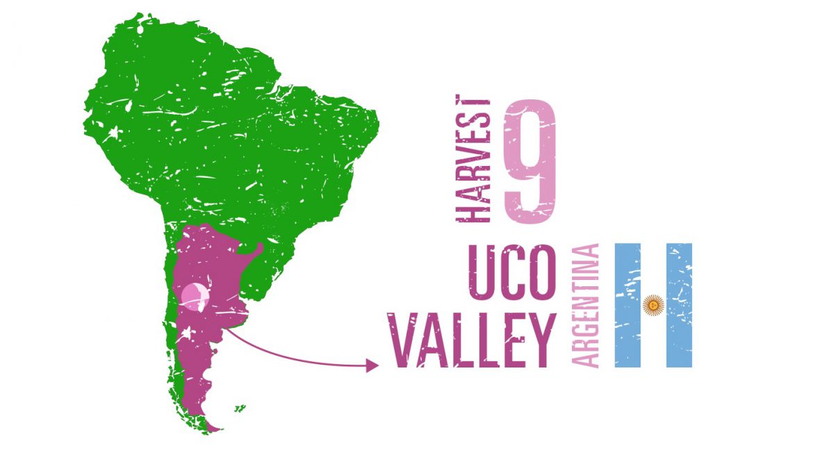 Guide to Uco Valley in Mendoza, Argentina: its wine regions, wines, winemakers and producers