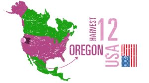 Harvest 12, Willamette, Oregon, USA, guide to wine region, wines, winemakers, insider information, interviews, infographics, database, videos, video