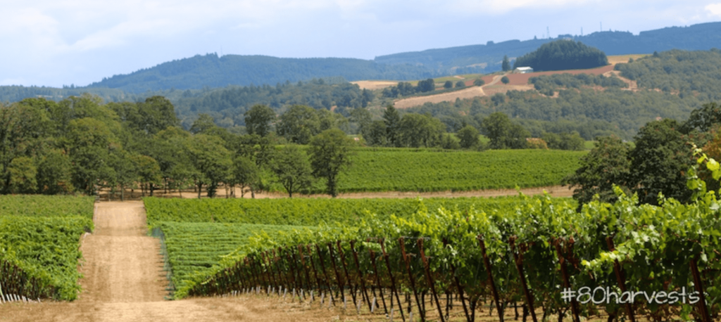 The future of Willamette valley and oregon wine