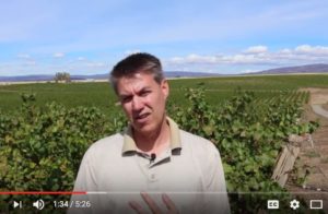 Sean Hails winemaker interview Columbia winery Yakima Washington
