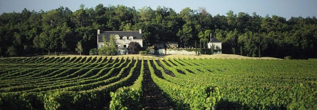 The Loire guide: Fast Facts, Wine Regions, Wine Styles