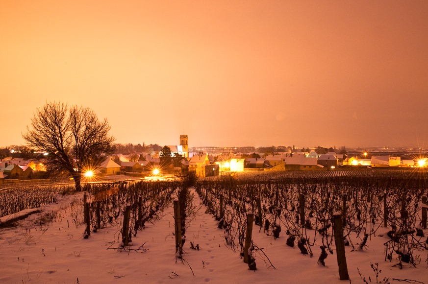 Village of Pommard in the Côte de Beaune