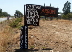 Pipa Chicha garage wine in Maule, Chile, Vigno