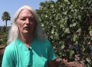 Oak Knoll vineyard interview