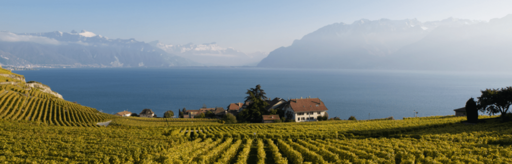 Switzerland's wine regions