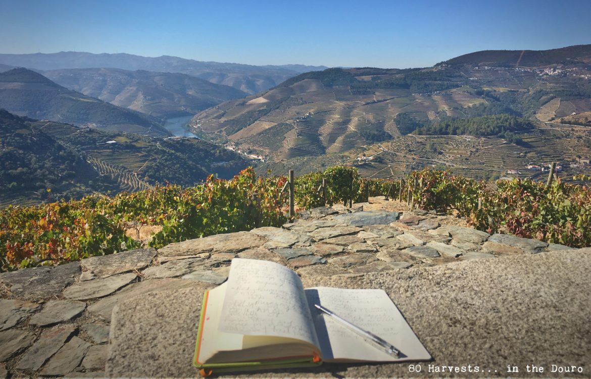 80 Harvests in the Douro