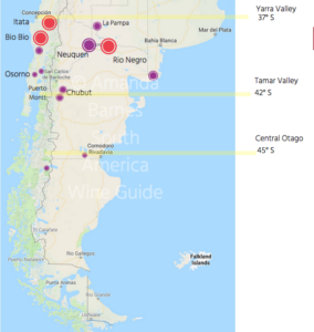 South America wine guide Patagonia, amanda barnes