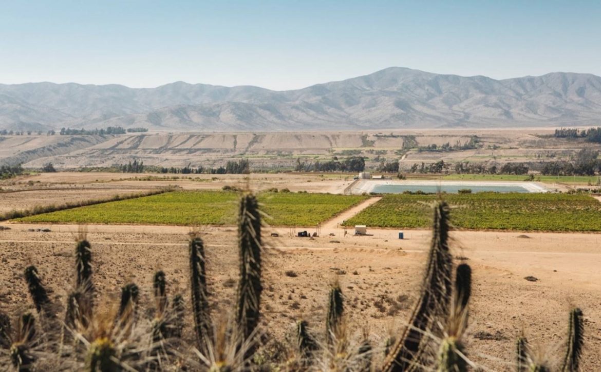 South America wine regions