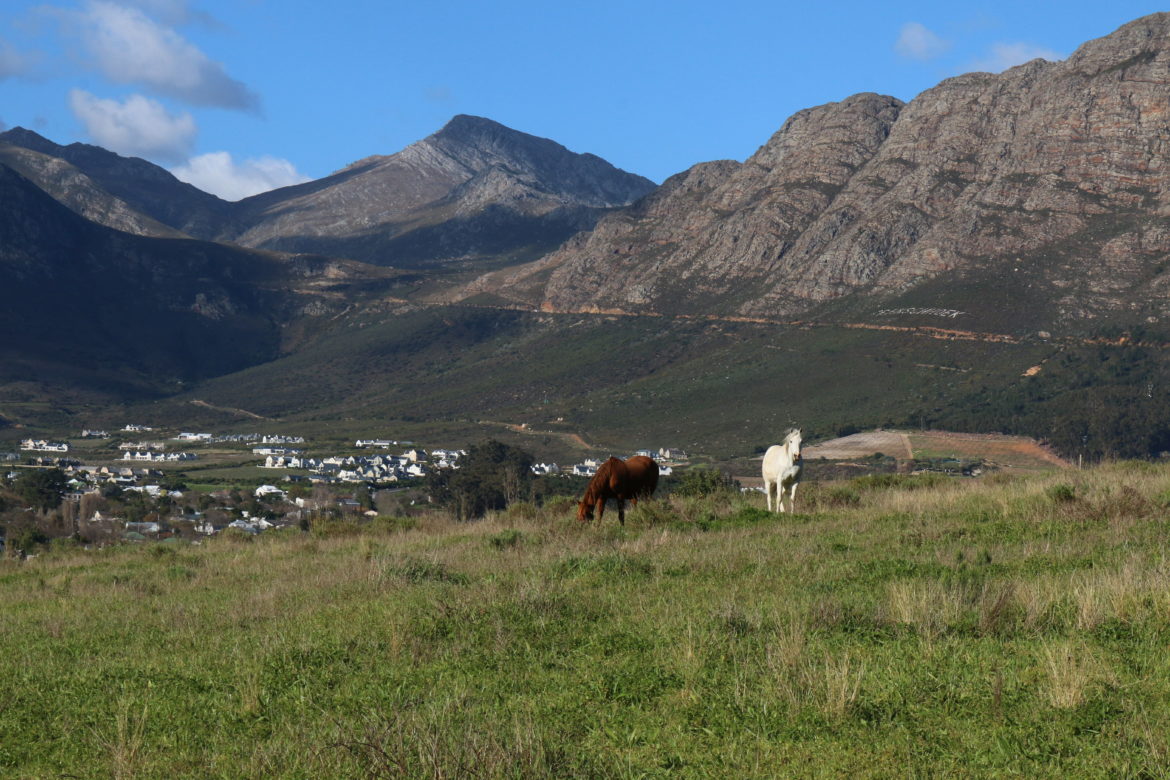 Guide to Franschhoek wine