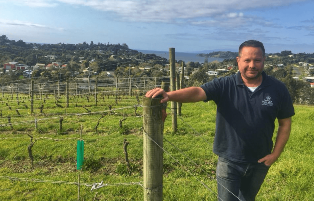 Waiheke wine production, waiheke viticulture, martin peckering
