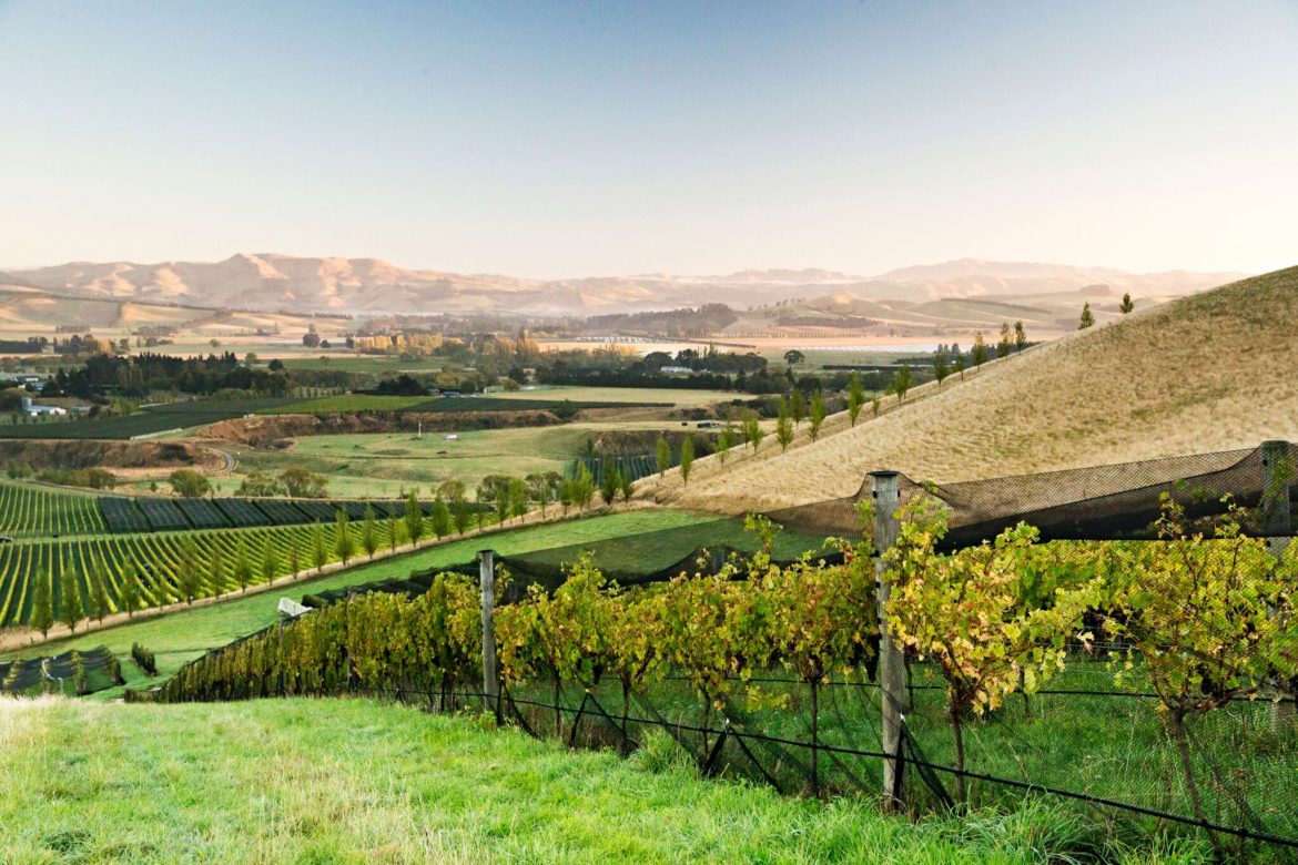 waipara wine valley