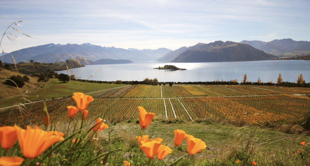 Central Otago wines New Zealand