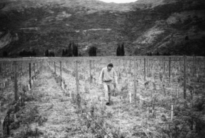 Grant Taylor in Valli vineyards, history of Central Otago