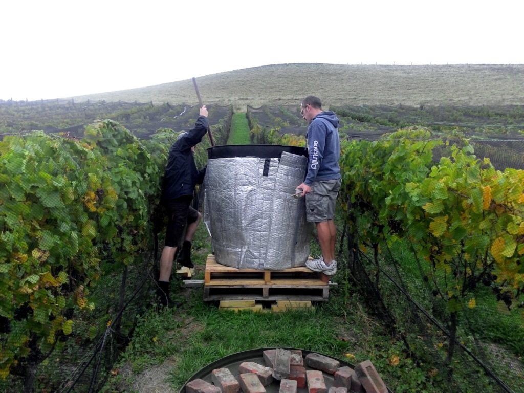 Waipara Pinot Noir and wild ferments in the vineyard with Greystone