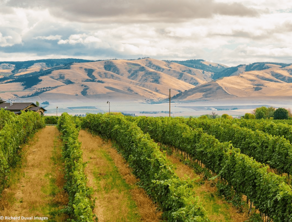 Walla Walla wine region climate change