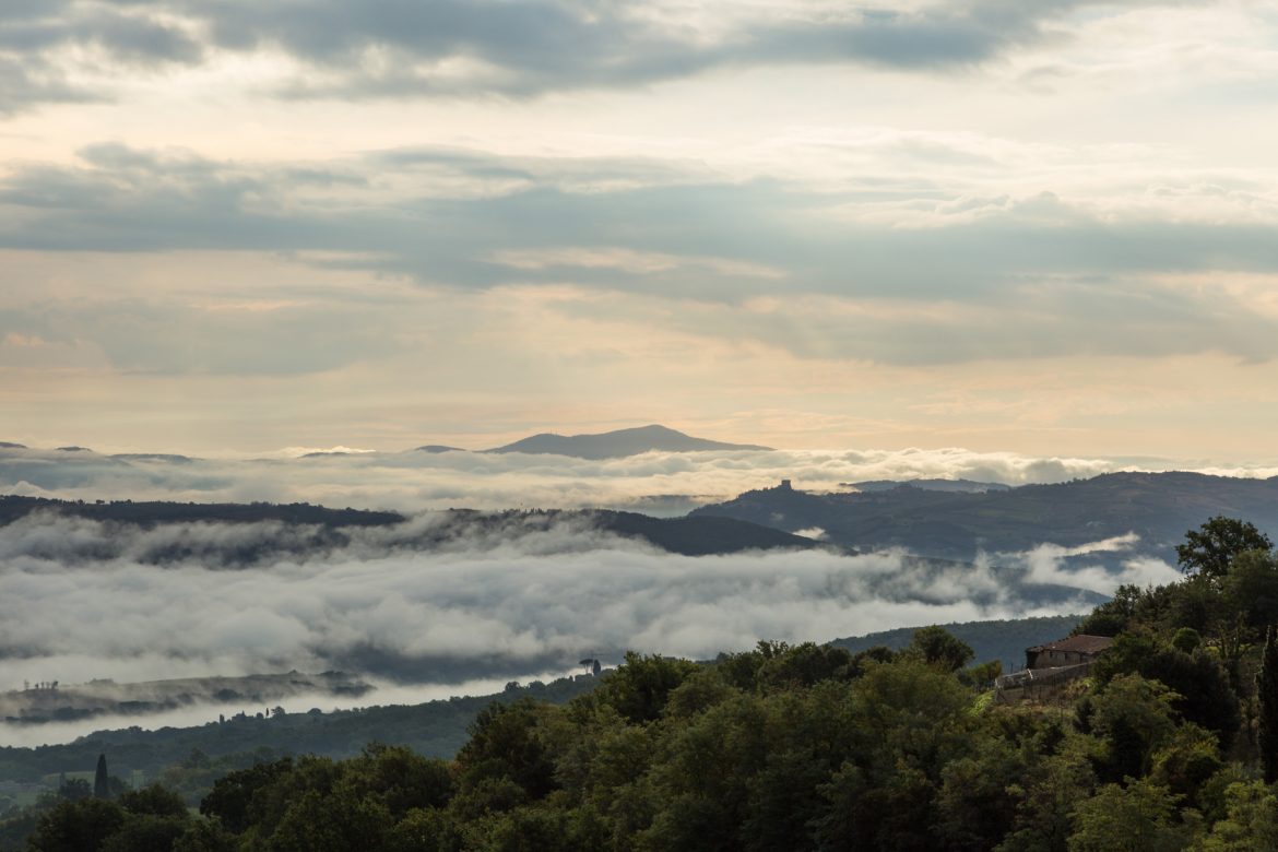 Guide to Tuscany wine region and wines