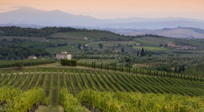 Tuscany wine region guide and terroir essentials, Fast Facts
