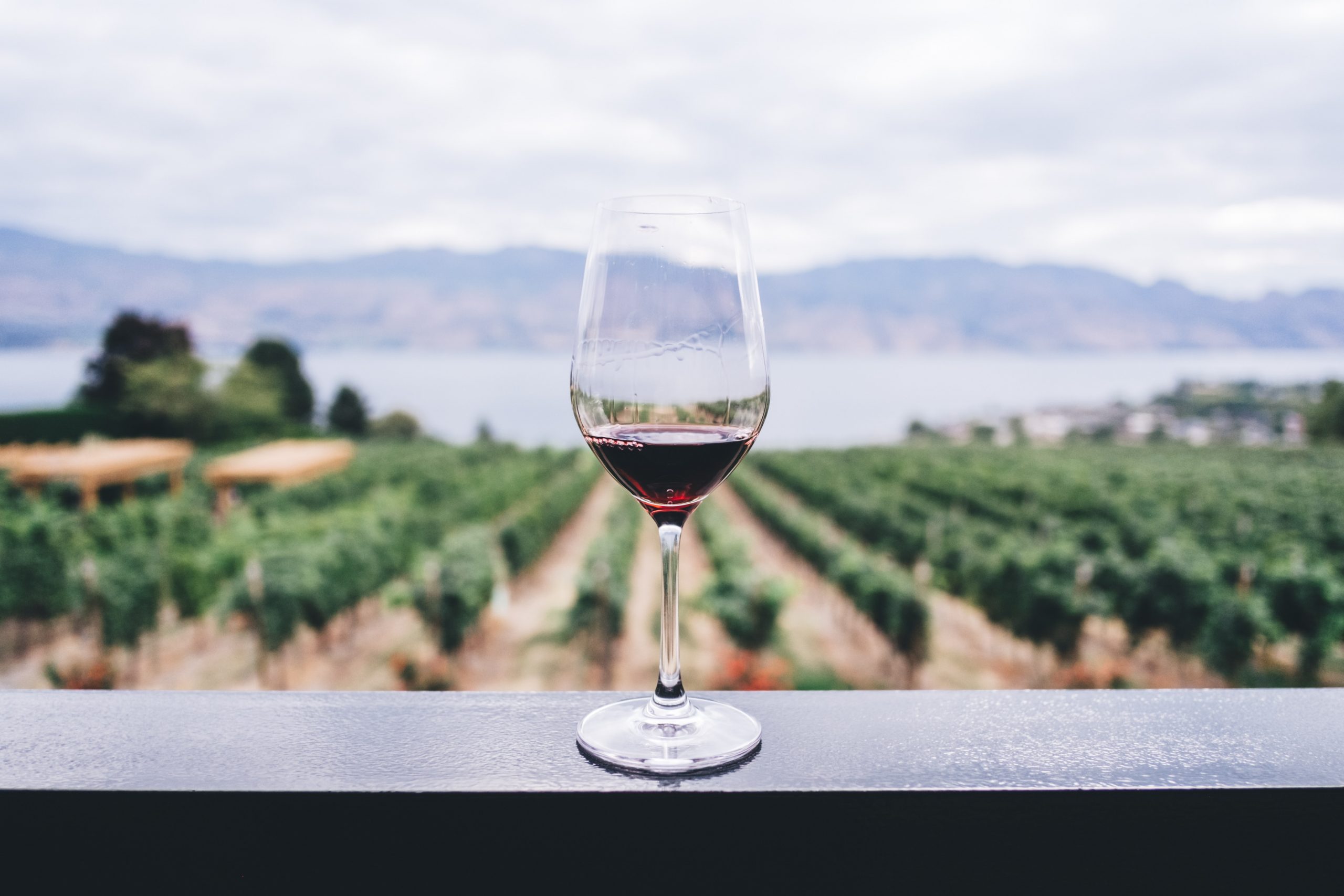 For wine, consider the Okanagan instead of Napa Valley - The Washington Post