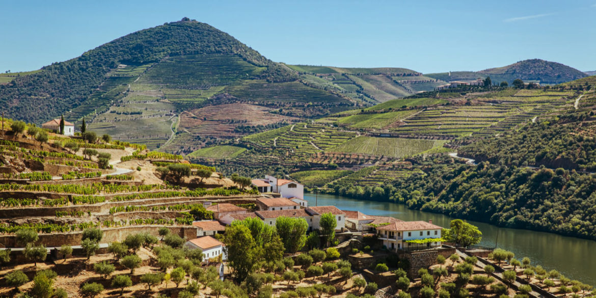 Quinta da Boavista Vinho da Ujo Vinha da Ortatorio