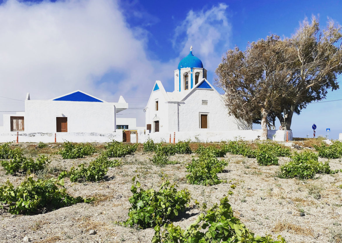 wines of Santorini, guide to Assyrtiko and volcanic wines and vines of Santorini